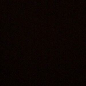 Meet your Posher, Mikayla